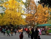 散花的名句_关于散花的名句