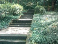 最经典的《成道之路》佳句摘抄