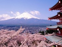樱花集句子大全