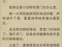 关于七宝酥名言名句