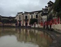最新的《请回答1988》经典的句子