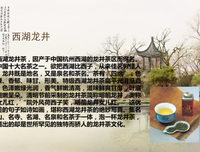 最新的《一一风荷举》经典语句