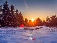 关于周国真作十的句子