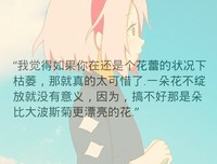 最新的春野樱精彩语录