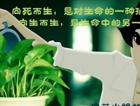 《寻找爱情的邹小姐》经典语录