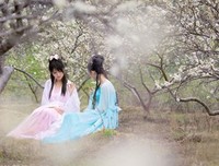 一花句子