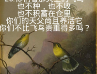 马太格言警句