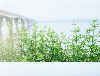最全的空梦15句经典名言