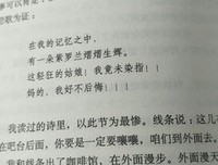 最经典的《愿风裁尘》经典语句