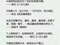 有关忘红尘的句子