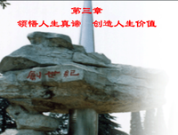 有关領悟和涵養的句子