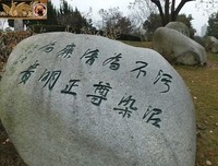鹿满川名言大全
