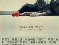 最全的《米可的999封 情书 》经典语录大全