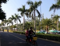 路非语录