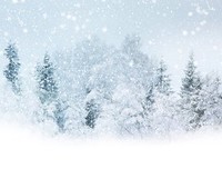 秦时明家得句子大全