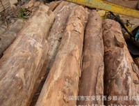 关于格木的格言