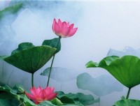 你拥有的就是别人想要的