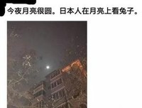 最经典的《蜘蛛侠》佳句摘抄
