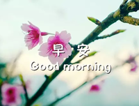 邂逅相遇，与子偕臧。优美的句子