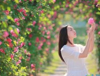 最新的《愿风裁尘》经典语句
