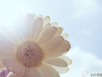 2018伊能静名言名句