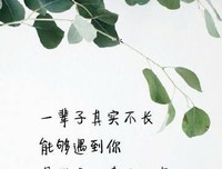  感情 的事，态度决定了结果