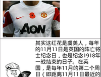 2018一颗丸子名言