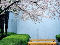 未眠君名言警句