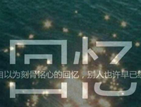 《一一风荷举》经典句子