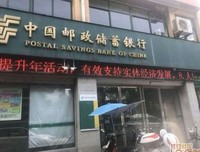 关于骆闻的语句