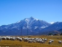 连轴转的日子错过秋日阳光