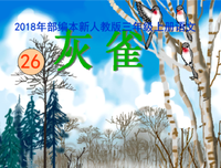 最新的《四月是你的谎言》好段摘抄