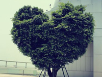 最经典的《把时间当作朋友》经典语句大全