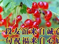 最新的《重生之何以非凡》小说句子大全