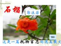 果子的优美句子