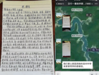 关于肖的句子
