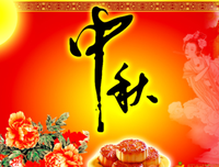 最全的《这眼岁带实生认便要和大，有你刚好》小说摘抄