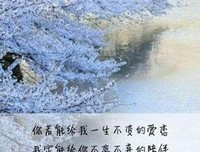 们岁自他能还再种如歌句子大全