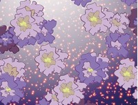 《星星上的花》的句子