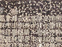 最新的寻找梦中的回忆名言