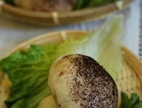 他还以为我是非他不可了