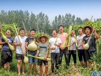 风生水起，全靠自己！