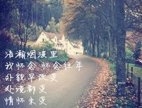 关于流年似心这那没的优美句子
