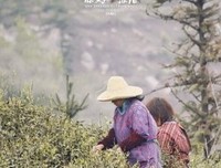 “你好，我是入俭师”|理解，将像生命一样珍贵