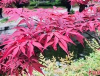 原】中国最美的十本书，一生至少读一次