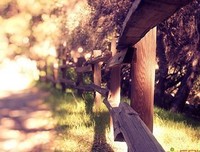 关于自当见 旧时光的优美句子
