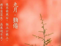 有关苏清涛经典句子