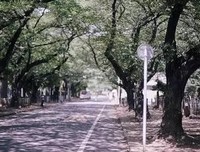“7岁不懂爱，17岁不会爱，20多岁，不敢爱了……”