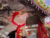 有关真还十山格你的句子