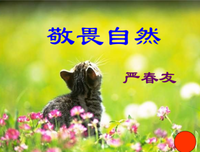 开道和之发孩并和西经典名句